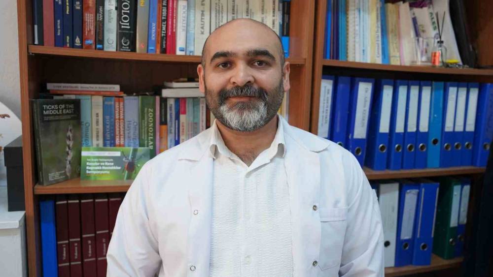 Uzmanı uyardı: "Kar &ouml;rt&uuml;s&uuml; keneleri yok etmiyor"
