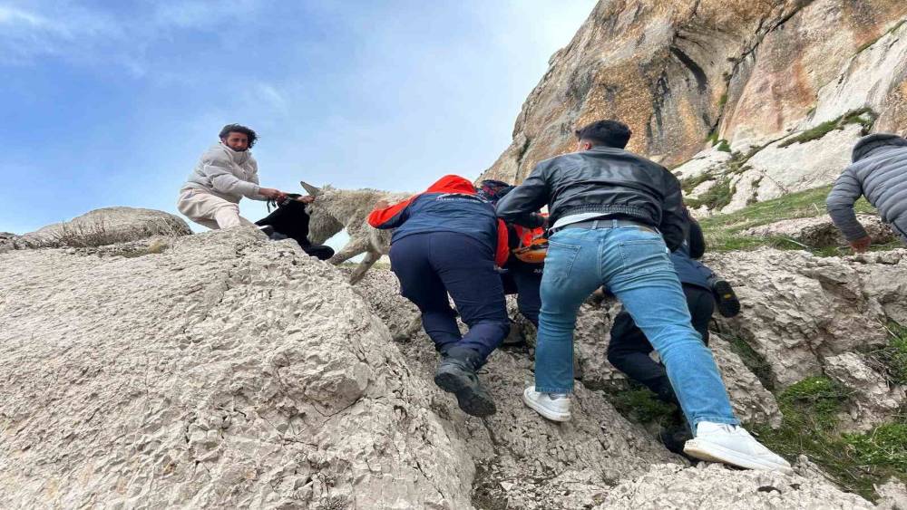 Van&rsquo;da kayalıklarda mahsur kalan eşek kurtarıldı
