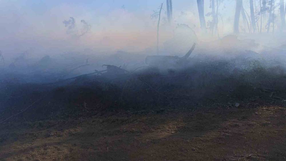 Ara&ccedil; yangını ormanlık alana sı&ccedil;radı, ekipler alevleri b&uuml;y&uuml;meden s&ouml;nd&uuml;rd&uuml;
