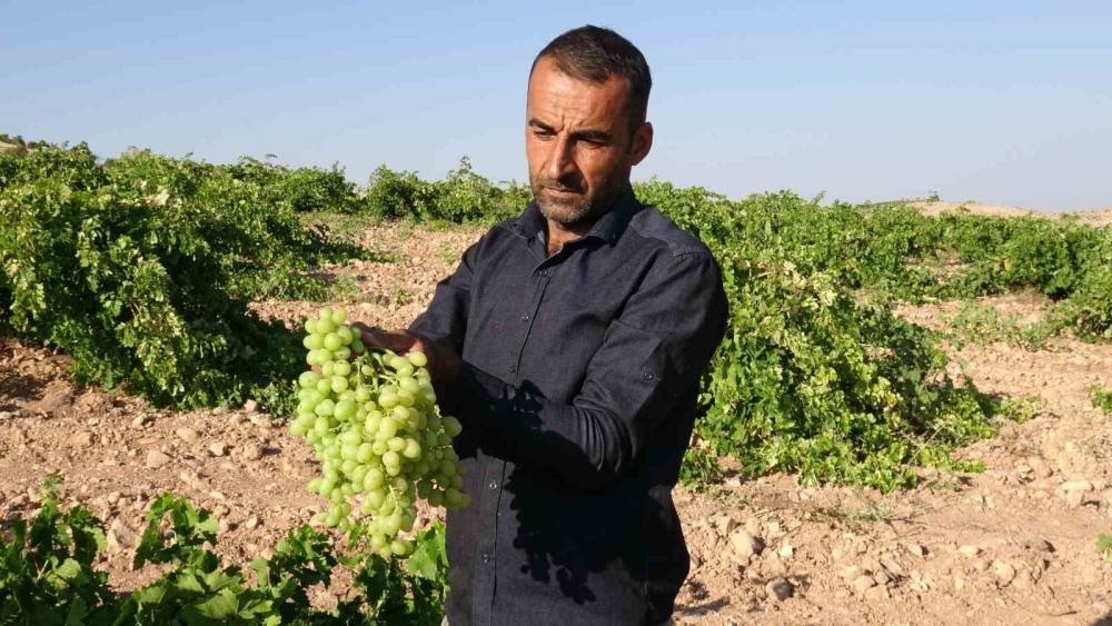 Anadolu&rsquo;nun Unutulan Lezzeti "tahannebi" &uuml;z&uuml;m&uuml; Malatya&rsquo;da yeniden ekonomiye kazandırılıyor
