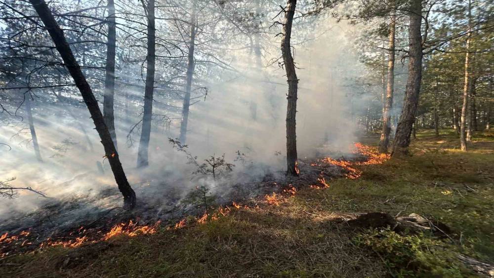 Karab&uuml;k&rsquo;te &ouml;rt&uuml; yangını b&uuml;y&uuml;meden s&ouml;nd&uuml;r&uuml;ld&uuml;
