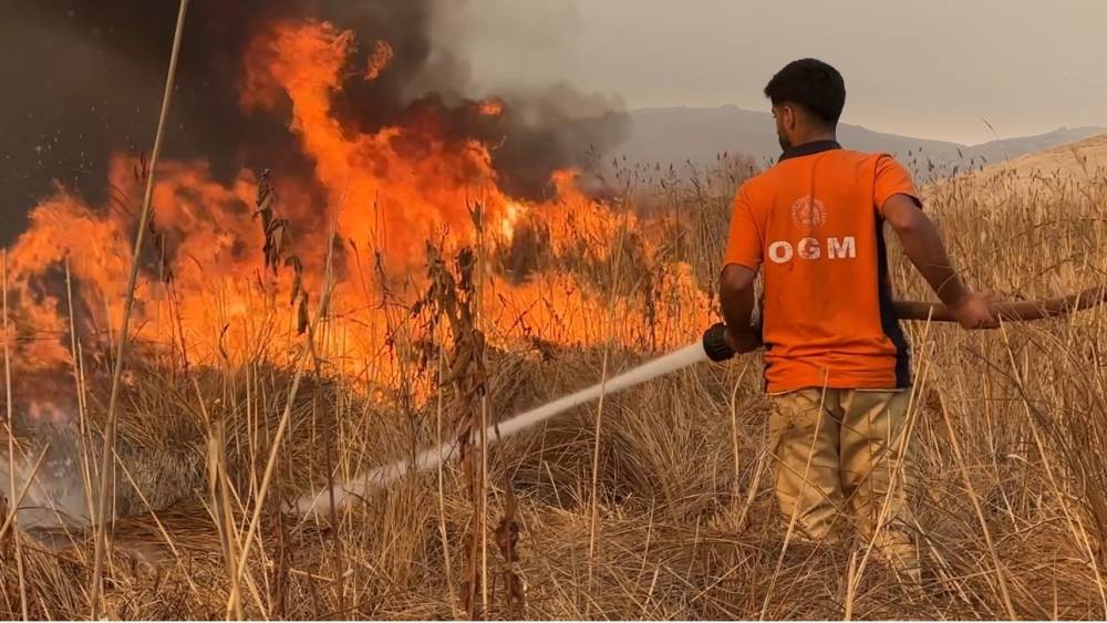 Yüksekova kuş cenneti alevlere teslim: Yangın kontrol altına alınamıyor
