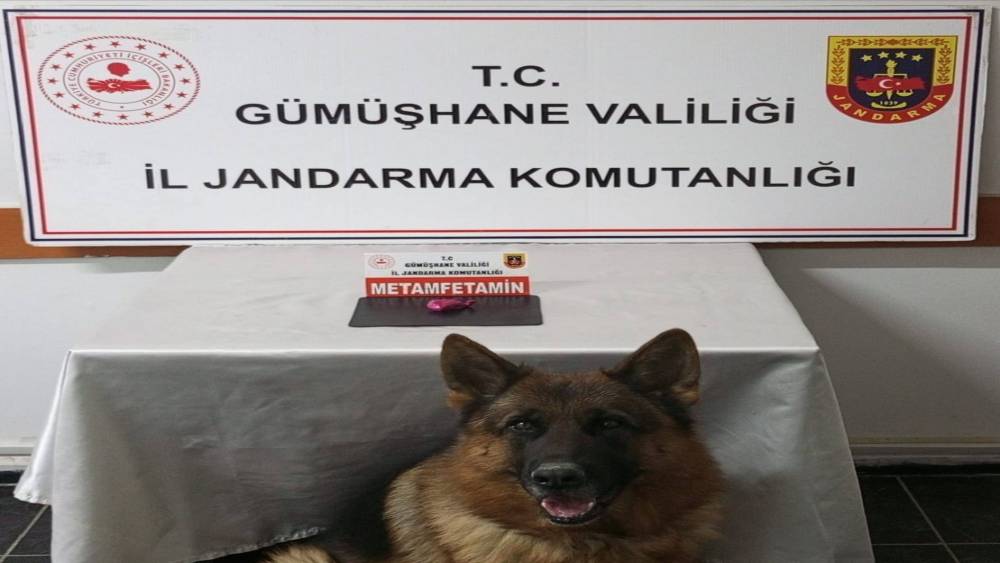 Gümüşhane’de uyuşturucu operasyonunda 2 şahıs yakalandı
