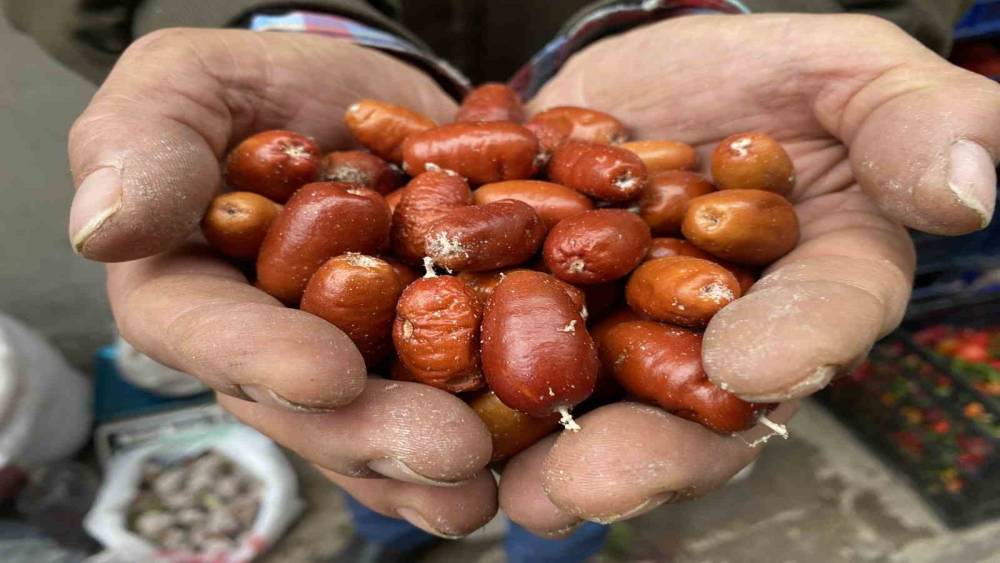 Alaşehir’de iğde ağaçlarının sayısı her geçen gün azalıyor
