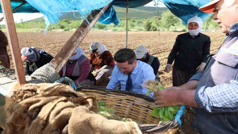 Başkan Tatık&rsquo;tan t&uuml;t&uuml;n firmalarına &rsquo;Alım takvimi a&ccedil;ıklayın&rsquo; &ccedil;ağrısı
