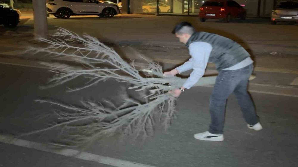 Kaza sonrası cam ve plastik par&ccedil;alarıyla dolan yolu vatandaş kırılan ağa&ccedil;la b&ouml;yle temizledi
