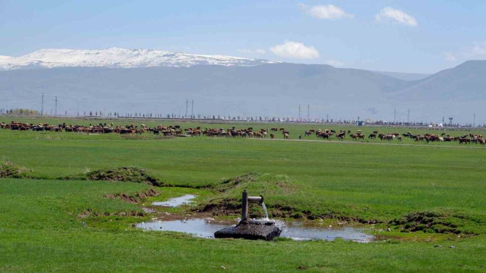 Tarımda &ouml;nder &uuml;retici modeli vurgusu
