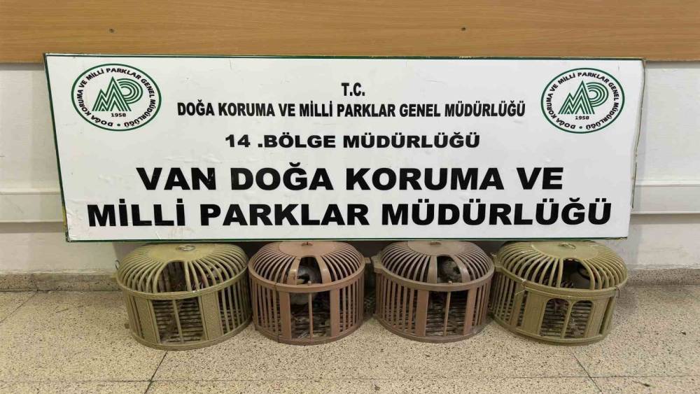 Van&rsquo;da ka&ccedil;ak avcılığa 51 bin 878 TL ceza

