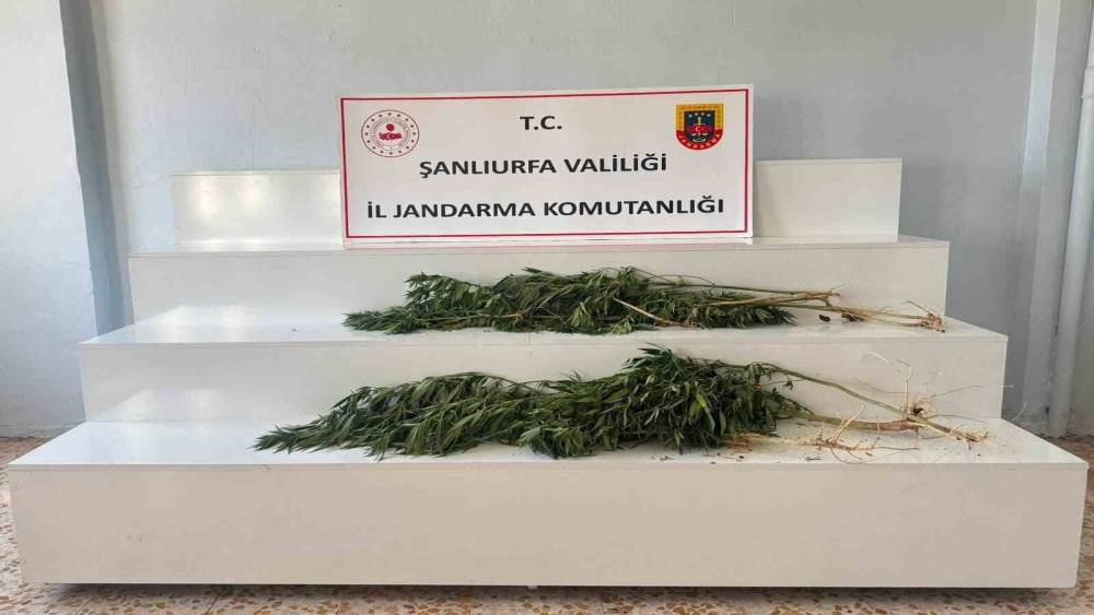 Şanlıurfa&rsquo;da uyuşturucu operasyonu: 2 g&ouml;zaltı
