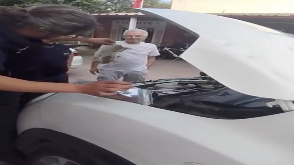Yalova&rsquo;da otomobile sıkışan minik kedinin yardımına itfaiye ekipleri yetişti
