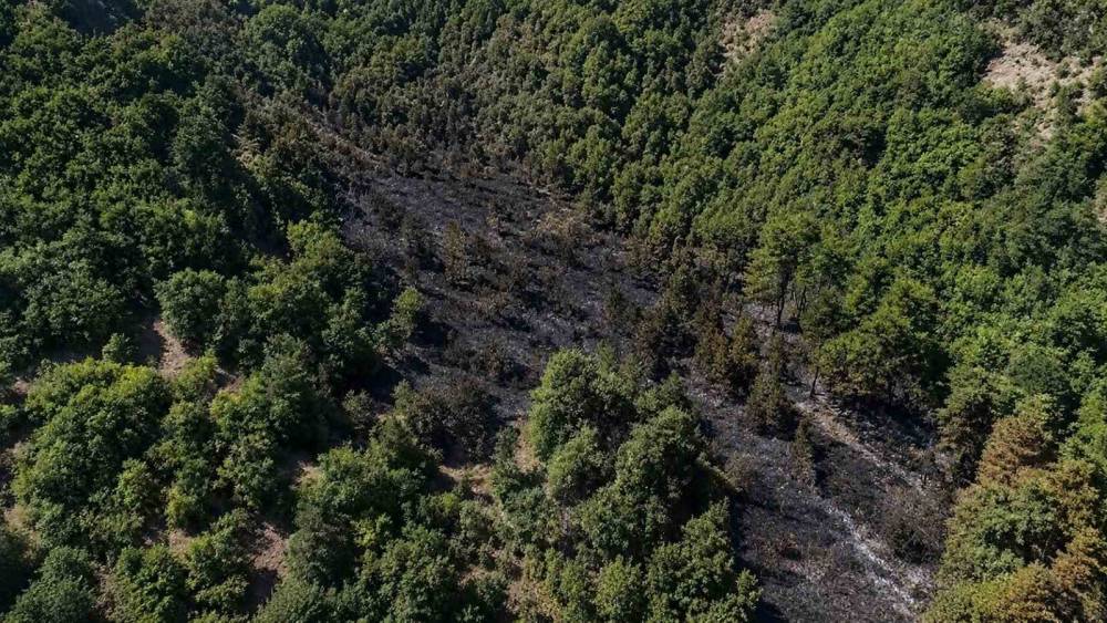 Sinop&rsquo;taki orman yangını kontrol altına alındı
