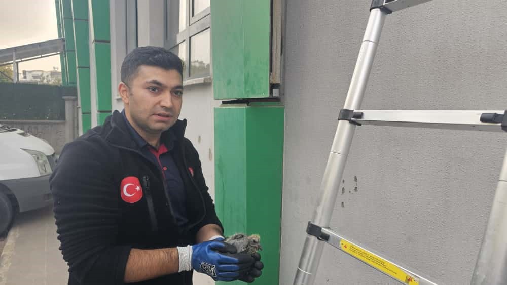 Batman&rsquo;da kolonlara sıkışan kuş kurtarıldı
