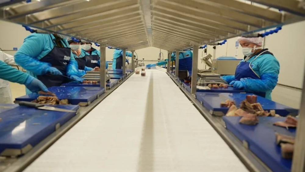 Sinop 2025&rsquo;te ihracatta vites y&uuml;kseltti
