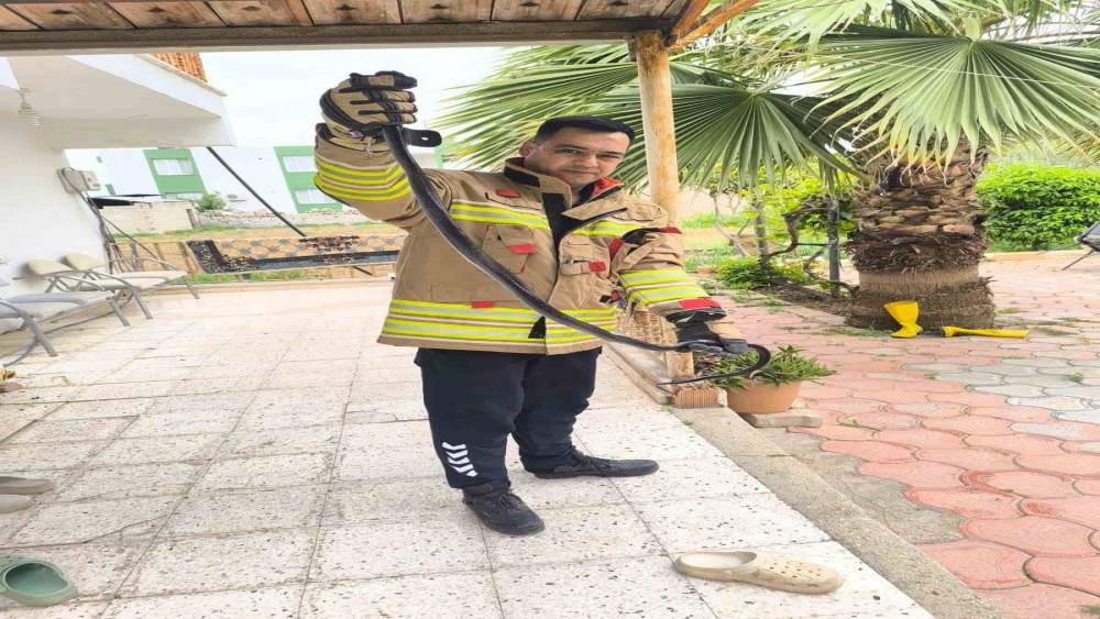 Reyhanlı&rsquo;da eve giren yılanı itfaiye yakaladı

