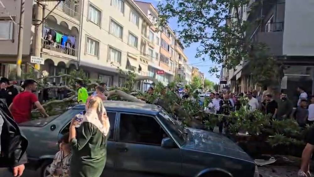 Devrilen ağacın altında kalan motosiklet s&uuml;r&uuml;c&uuml;s&uuml;n&uuml;n durumu ağır
