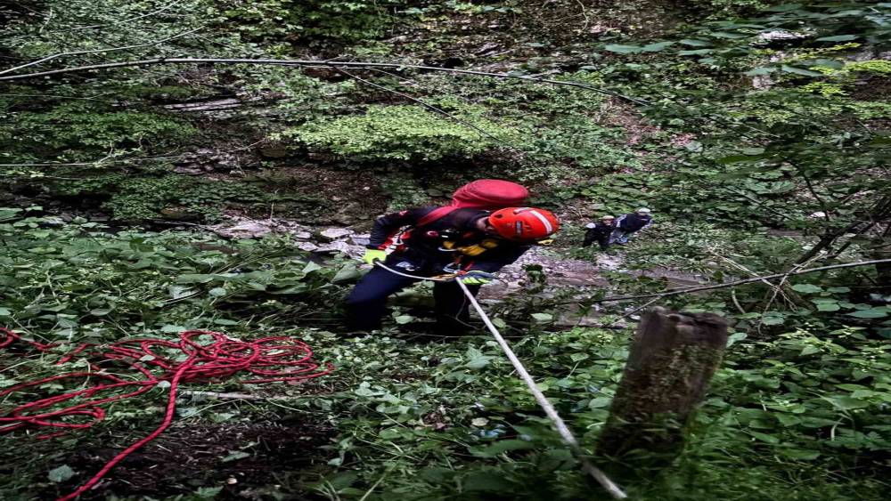 Fındık bah&ccedil;esinden u&ccedil;uruma d&uuml;şen adam hayatını kaybetti
