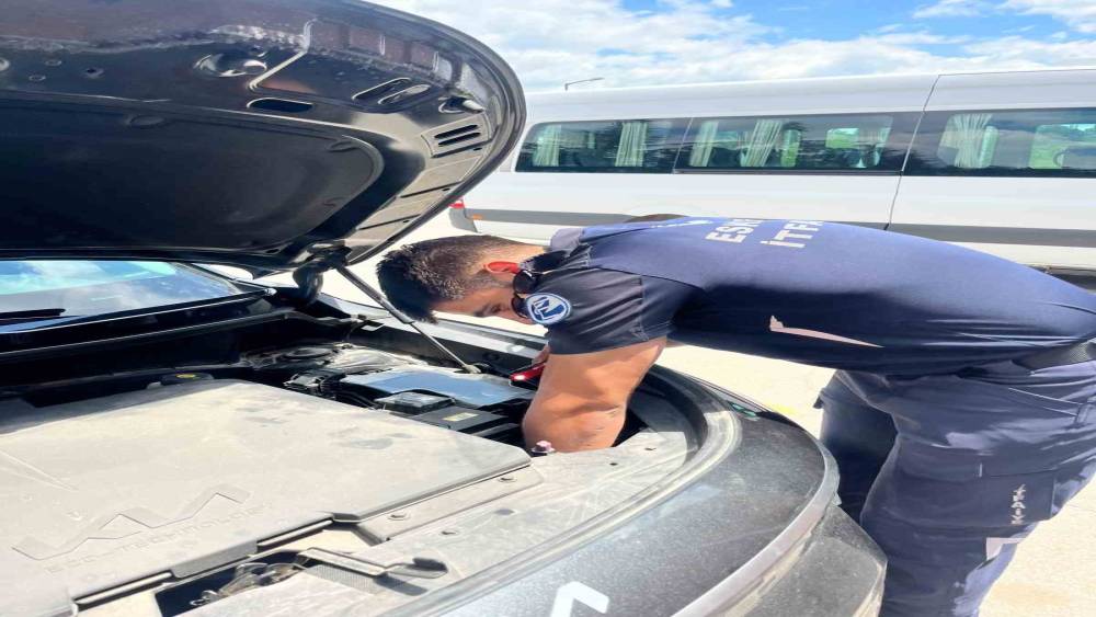 Eskişehir&rsquo;de motor b&ouml;l&uuml;m&uuml;ne sıkışan kediyi itfaiye ekipleri kurtardı
