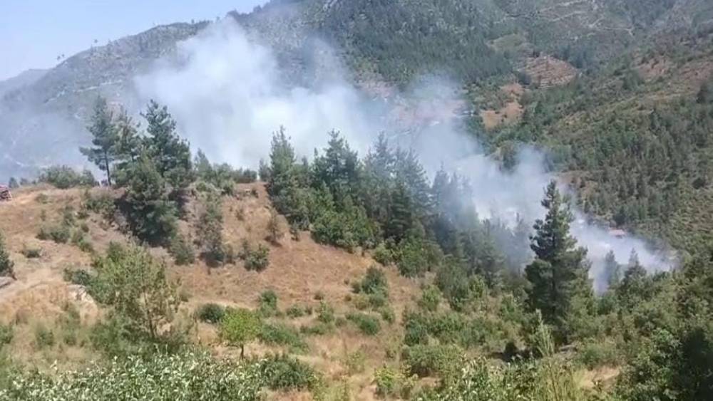 Adana&rsquo;da orman yangını

