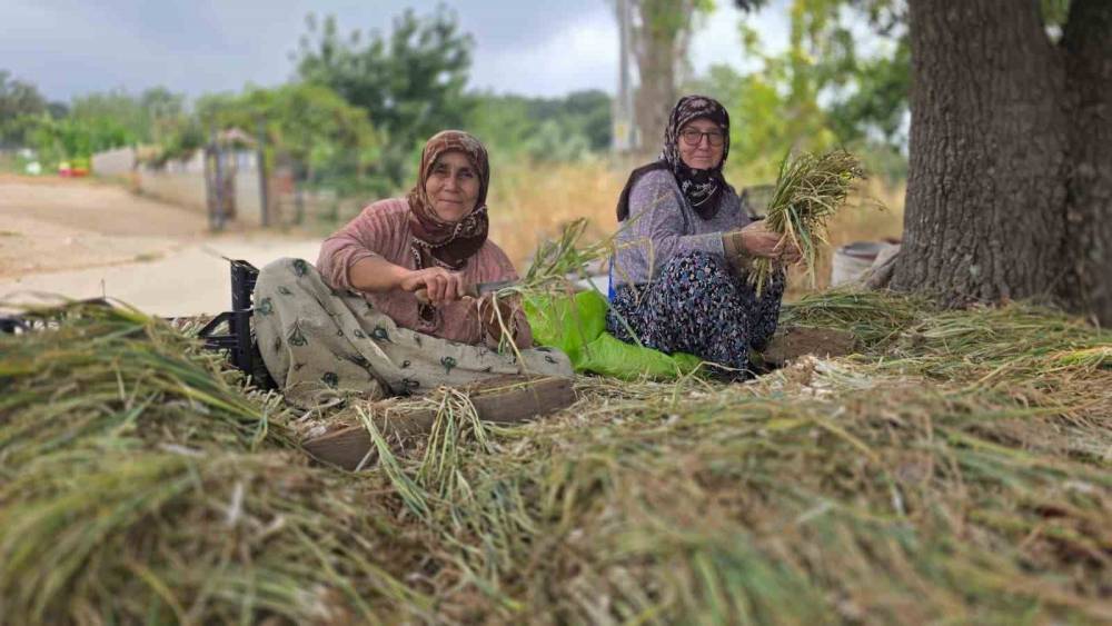 T&uuml;rkiye&rsquo;nin pırasa ambarında &uuml;retim mesaisi s&uuml;r&uuml;yor
