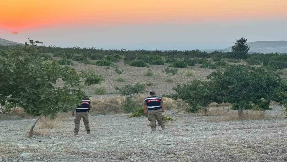 Jandarmadan fıstık n&ouml;beti
