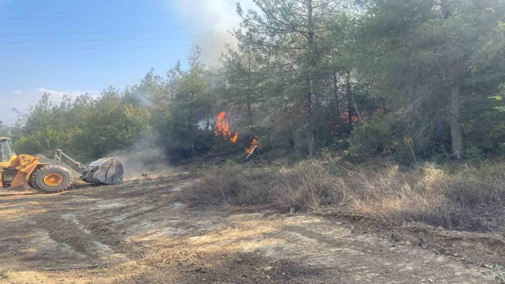 Bilecik&rsquo;te orman yangını kısmen kontrol altına alındı
