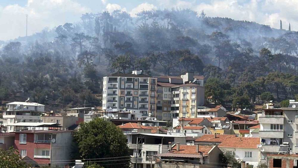 Kazdağları eteklerindeki yangına m&uuml;dahale s&uuml;r&uuml;yor
