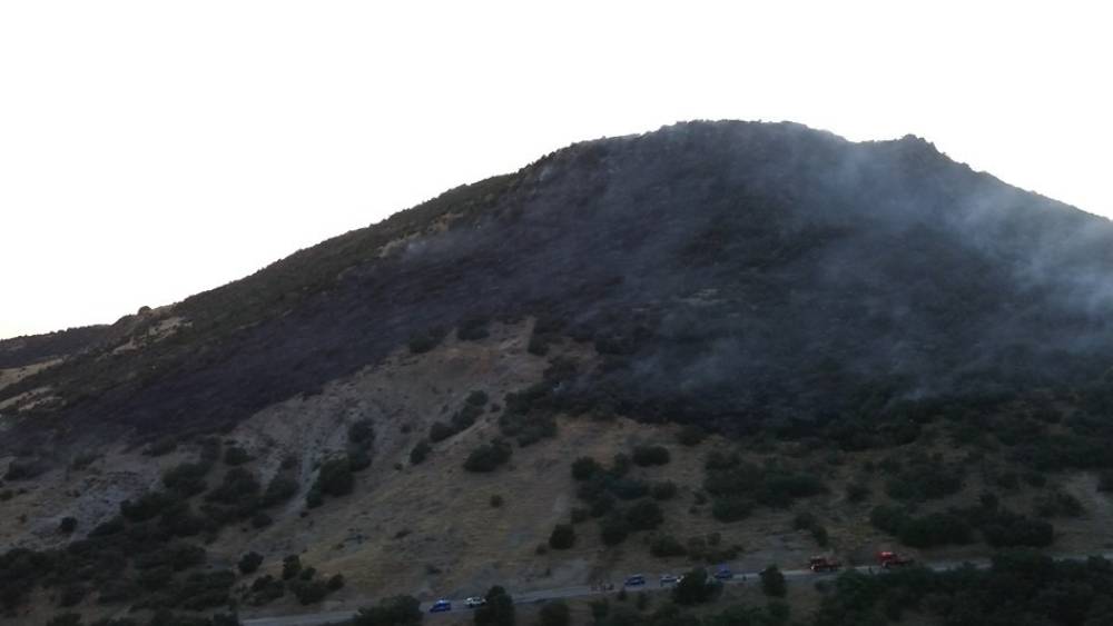 Konya&rsquo;da ormanlık alanda yangın

