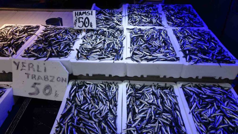 Trabzonlular hamsiye doydu
