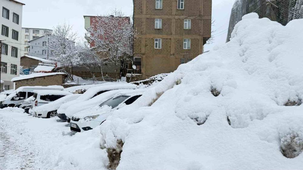 Hakkari&rsquo;de 223 yerleşim yerinin yolu ulaşıma kapandı
