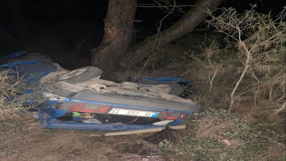 Bilecik&rsquo;te otomobil yoldan &ccedil;ıktı: 1 yaralı
