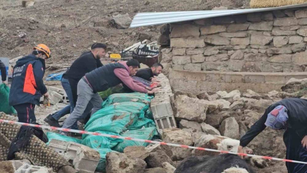 Aksaray&rsquo;da yağmur ve r&uuml;zgardan ahır hayvanların &uuml;zerine &ccedil;&ouml;kt&uuml;
