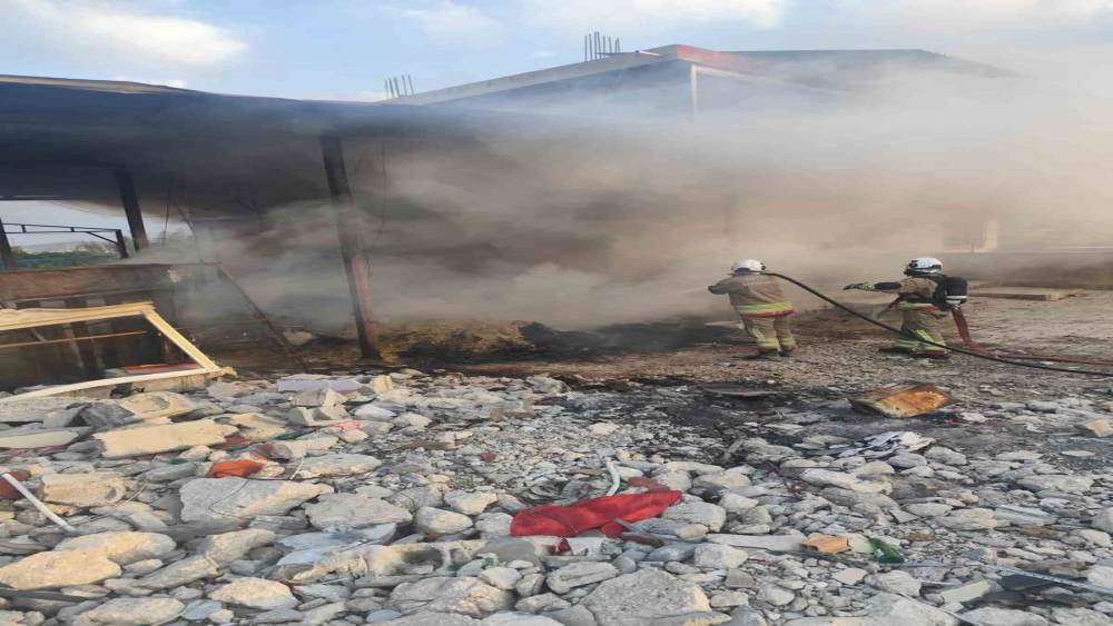 Antakya&rsquo;da odunlukta &ccedil;ıkan yangın eve sı&ccedil;ramadan s&ouml;nd&uuml;r&uuml;ld&uuml;
