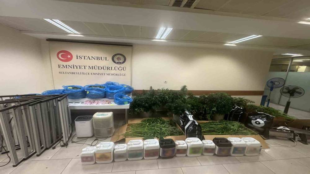 Sultanbeyli&rsquo;de kenevir serasına baskın: 21 kilo Hint keneviri ele ge&ccedil;irildi
