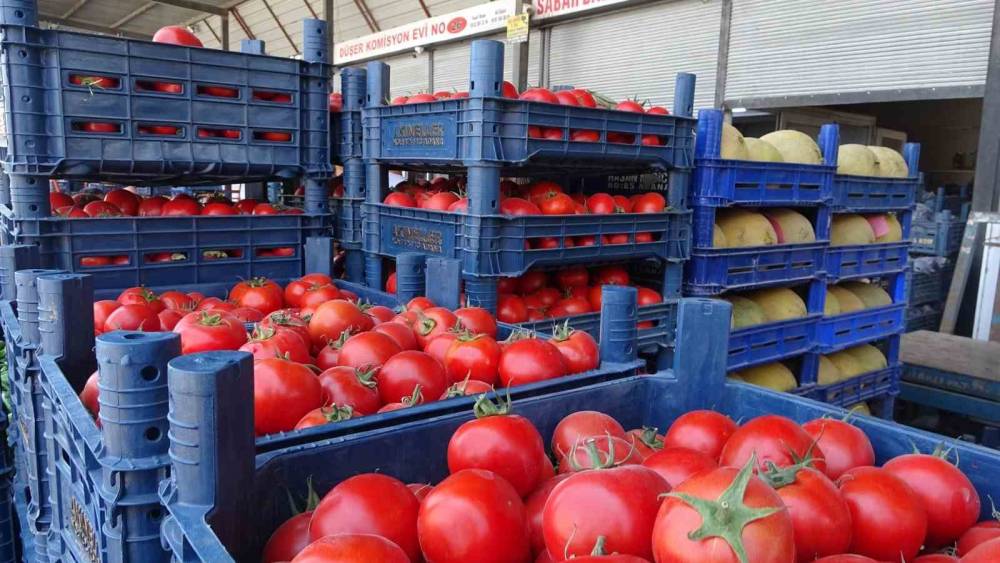 Sebze halindeki domatesin fiyatı 15 TL&rsquo;ye d&uuml;şt&uuml;
