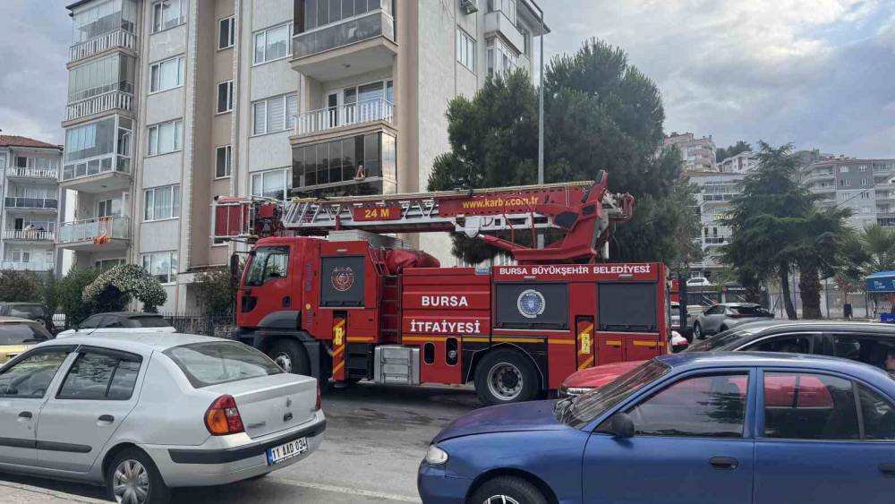 Karga kurtarılırken arkadaşları adeta kuşatma yaptı, saldırgan davranışlar sergiledi
