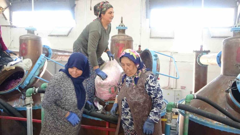 Isparta&rsquo;nın pembe hazinesi: 4 ton g&uuml;lden elde edilen yağın kilosu 12 bin avroya alıcı buluyor
