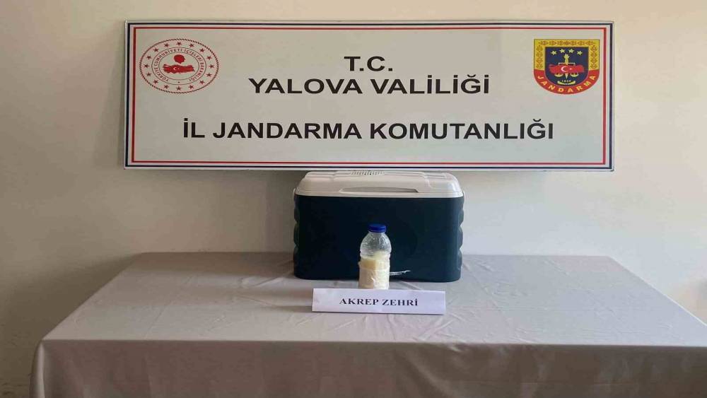 5 milyon dolarlık akrep zehri Yalova&rsquo;da yakalandı
