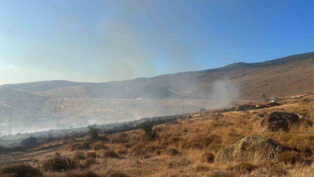 Aliağa&rsquo;da otluk alanda yangın
