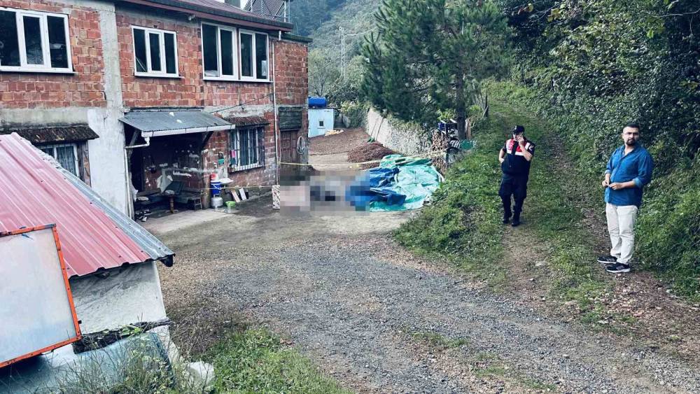 Ordu&rsquo;da kardeşler arasındaki arazi ve yol kavgası kanlı bitti: 1 &ouml;l&uuml;, 1 yaralı
