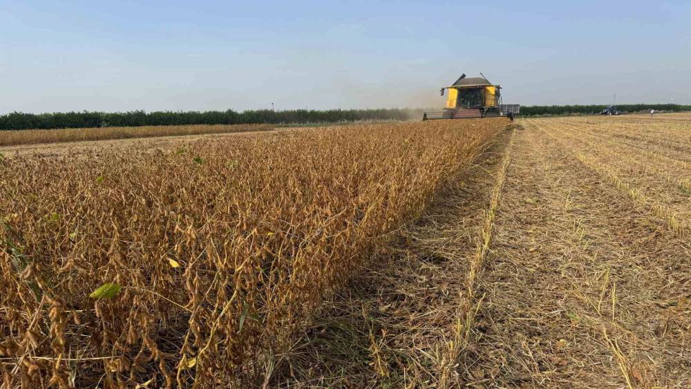 Adana&rsquo;da soya hasadında bi&ccedil;erd&ouml;ver &uuml;cretleri belirlendi
