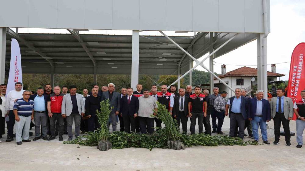 Muğla&rsquo;da Defne ihracatından 75 milyon dolar bekleniyor
