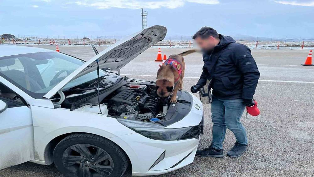 Uyuşturucu tacirleri, narkotik k&ouml;peğinden ka&ccedil;amadı

