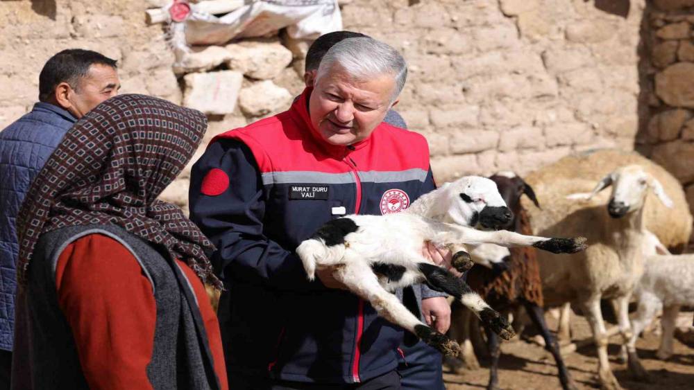 Vali Duru: "1,5 milyarlık finansmanla 125 bin k&uuml;&ccedil;&uuml;kbaş hayvan alımı yapılacak"
