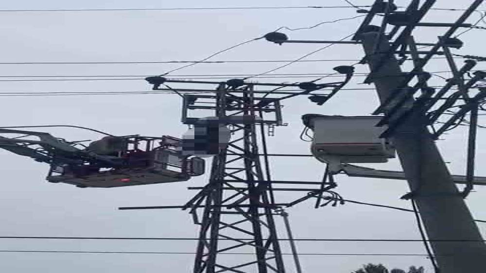 Hırsızlık i&ccedil;in &ccedil;ıktığı elektrik direği sonu oldu
