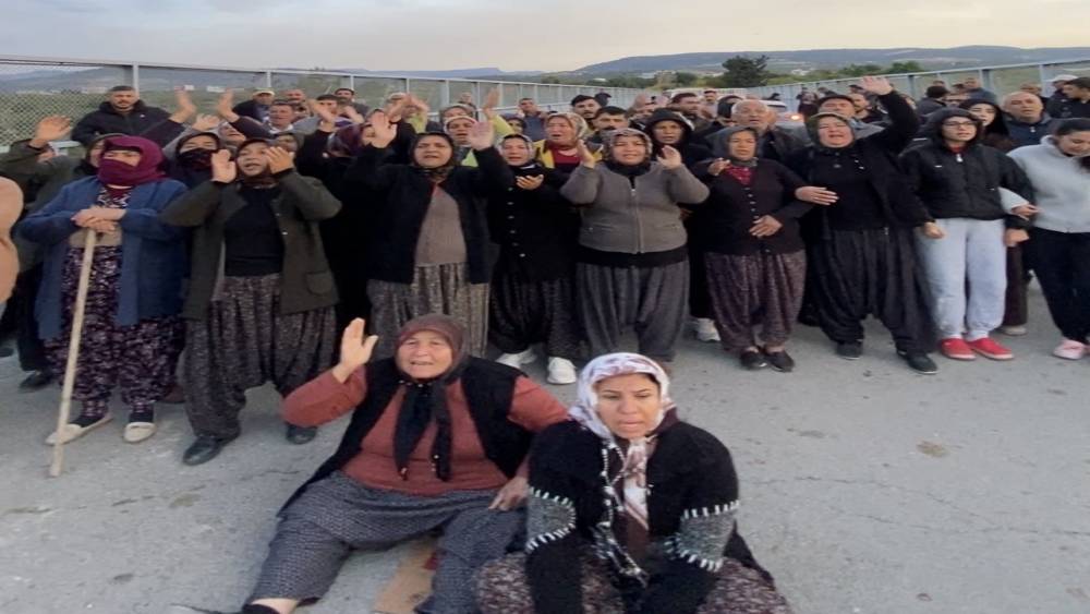 Mersin&rsquo;de ormanlık alana ekili narenciye bah&ccedil;elerinin kaldırılması kararına tepki
