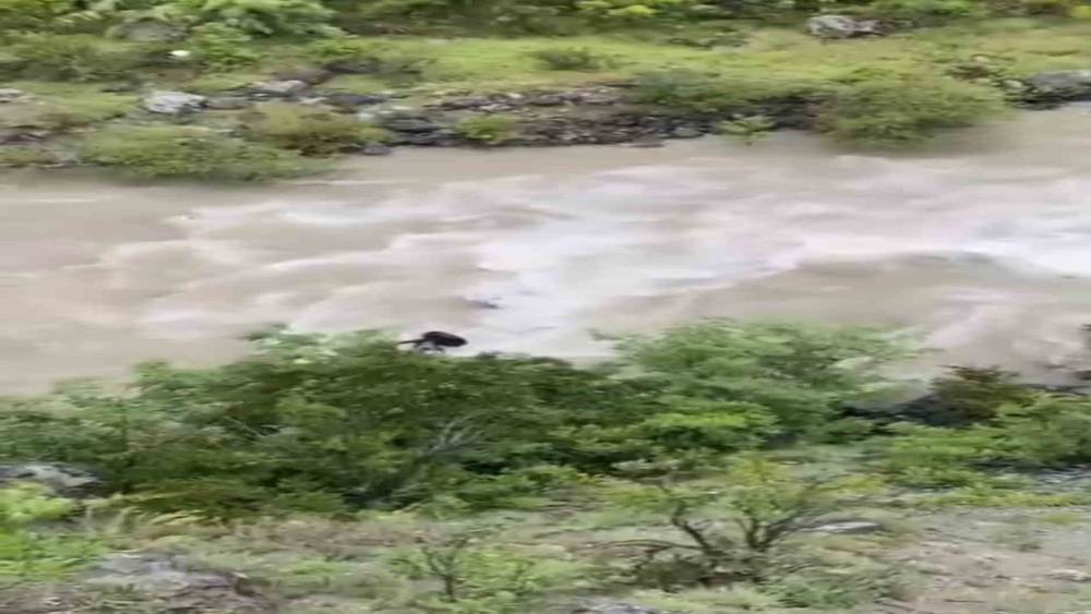 Artvin&rsquo;de bir otomobil &Ccedil;oruh Nehri&rsquo;ne d&uuml;şt&uuml;; baba ile oğlu aranıyor
