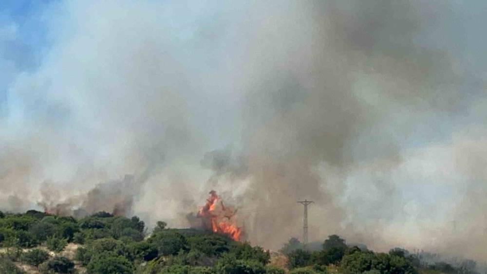 &Ccedil;anakkale&rsquo;de bozuk orman sahasında yangın
