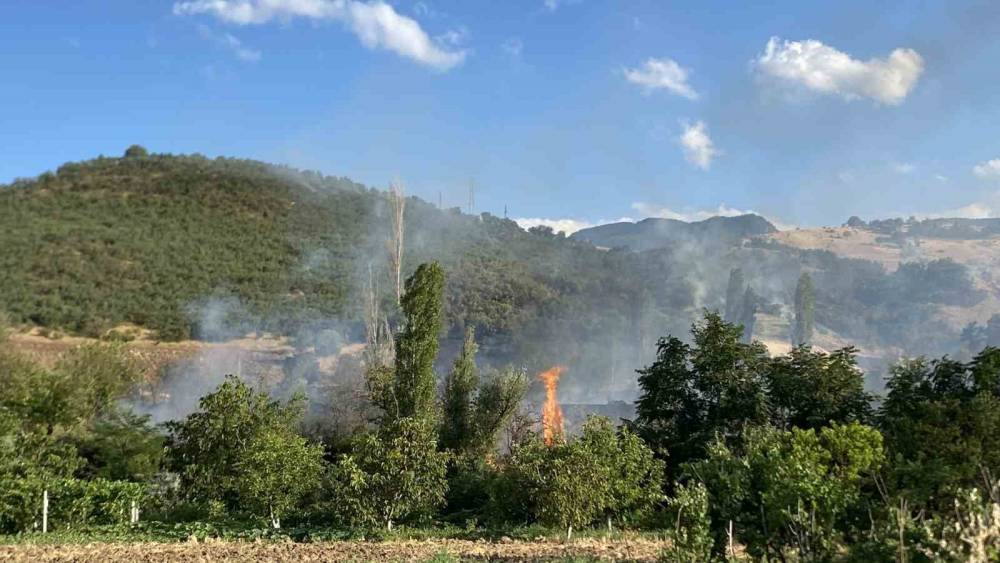 &Ccedil;orum&rsquo;daki orman yangını kontrol altına alındı
