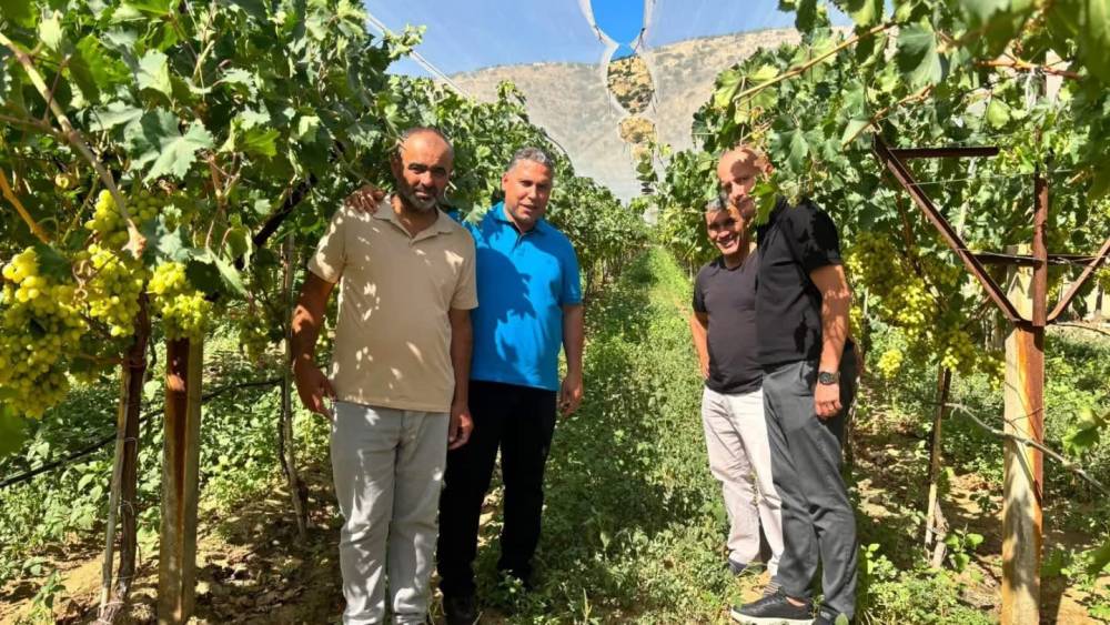 &Uuml;reticinin hasat heyecanına ortak oldular
