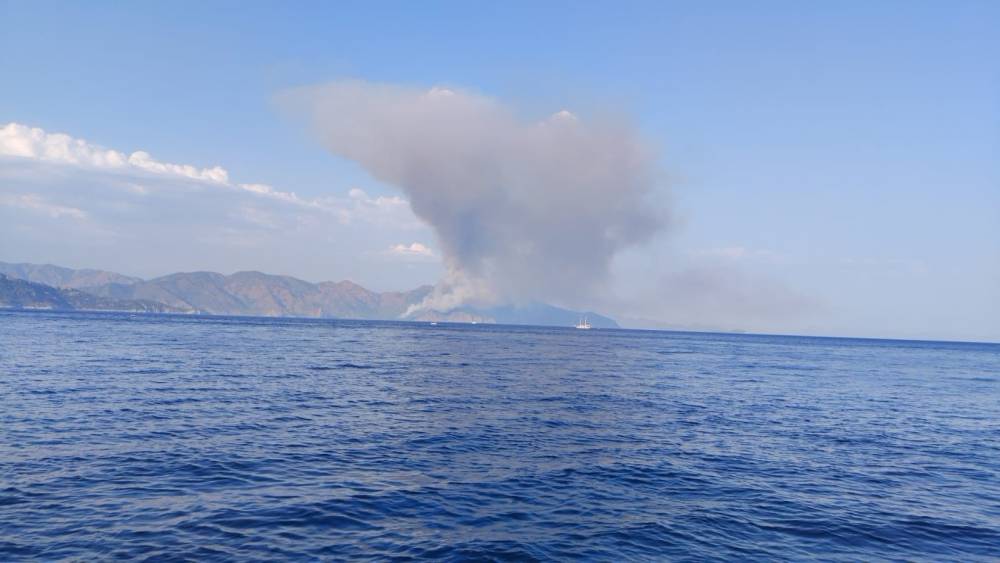 Marmaris&rsquo;te orman yangını
